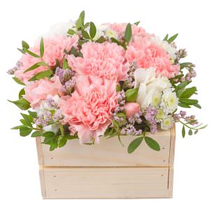 Ящик с цветами «Летний Вдохновитель»