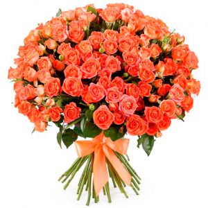 Розы Кустовые оранжевые